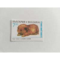 Болгария 1995 собаки