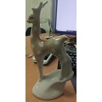 Олененок. Минский ФФЗ. Без нюансов