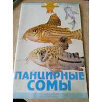 Панцирные сомы