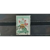 РАСПРОДАЖА БЕЛЬГИЯ 1960г. Гаш.