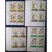 Беларусь 1996 кв. блоки, лекарственные растения