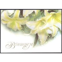 2000 ДМПК Беларусь Поздравляем