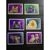 Монголия 1997 г. Кошки.