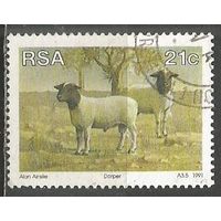 ЮАР. Овцы. 1991г. Mi#815.