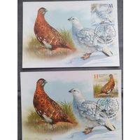 Белая куропатка. Картмаксимум "Летний период, зимний период", матовые. Беларусь, 2020