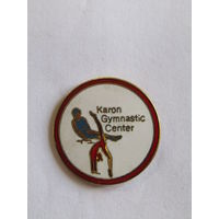Значок. Знак. "Центр гимнастики Carron Gymnastics Каррона". "Великобритания". "Гимнастика". "Спорт". м