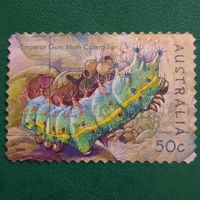 Австралия 2003. Фауна. Emperor Gum Moth Caterpillar