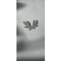 Ученическая кокарда