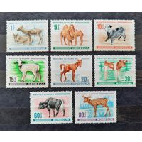 Монголия 1968г. Серия из 8 марок. Детеныши домашних животных. **