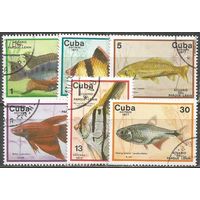 Куба. Аквариумные рыбки. 1977г. Mi#2202-07. Серия.