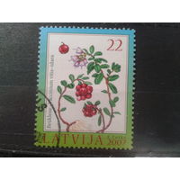 Латвия, 2007. Брусника