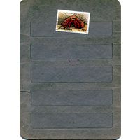 БАРБАДОС, ФАУНА, 1м гашен