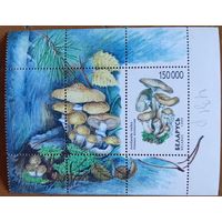 Беларусь 1999. Грибы. Блок