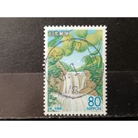 Япония, 2006. Водопад Фукурода, японская слива