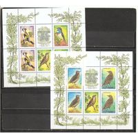 ФФ1 Россия 1995 Птицы