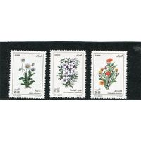 Алжир. Флора. Цветы