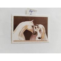 Куба  1995  кони