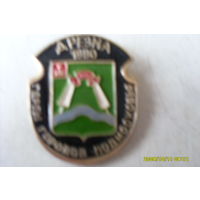 ЗНАЧОК  ГЕРБ  " ДРЕЗНА "  МОСКОВСКАЯ  ОБЛАСТЬ  РОССИЯ