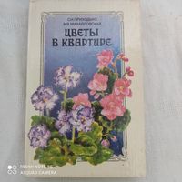 Цветы в квартире