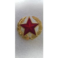 Вооруженные силы Беларусь*