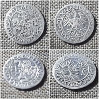Полугрош 1561 года.