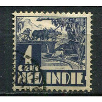 Нидерландская Индия - 1934 - Буйвол на рисовом поле 1С - [Mi.205] - 1 марка. Гашеная.  (Лот 47Gu)-T4P3