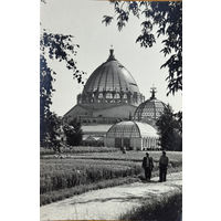 Открытое письмо Изогиз Всесоюзная сельскохозяйственная выставка Экспонатные участки 1954 тираж 40 000