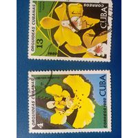 Куба орхидея 1980