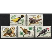 Птицы. 1979. Полная серия 5 марок. Чистые