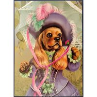 Барышня Кокер.Н.Бусарева. Россия.