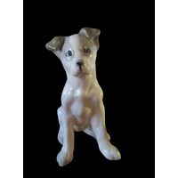 С РУБЛЯ! Щенок дога, ЗИК Конаково