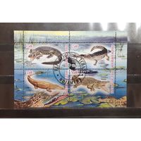 Чад. 2011 год. Фауна. рептилии. Крокодилы (малый лист) (1109)