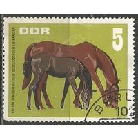 ГДР. Чистокровные лошади. Кобылица с лошонком. 1967г. Mi#1302.