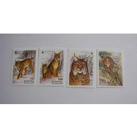 WWF. Рысь. 4м. 2000