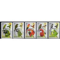 Румыния 2011. Фауна. Попугаи. 5 марок 6499