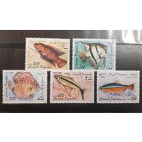 Сомали. 1998 год. Фауна. Рыбы (53)