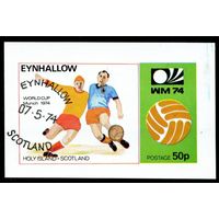 Футбол Шотландия 1974 год блок из 1 беззубцовой марки