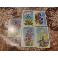 Календарики,аэрофлот,1984