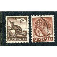 Австралия. Стандарт. Фауна