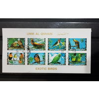 Умм-эль-Кайвайн 1973, ФАУНА, Экзотические ПТИЦЫ, блок б/зуб,