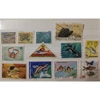 РАСПРОДАЖА КОЛЛЕКЦИИ.