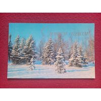С Новым Годом! Раскина 1976 г. Чистая. Кр1.