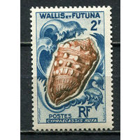 Французская заморская территория - Уоллис и Футуна - 1962/1963 - Ракушки 2Fr - [Mi.195] - 1 марка. MNH.  (Лот 33JM)-TG2P11