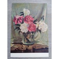 1956. Малютина. Пионы