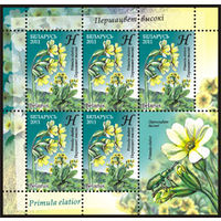 Беларусь. 2011. Цветы. Серия в листах