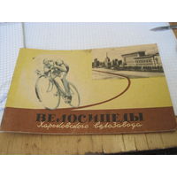 Краткая инструкция по уходу и эксплуатации легкодорожного велосипеда марки В39 Харьковского велозавода 1970 г. с рубля!