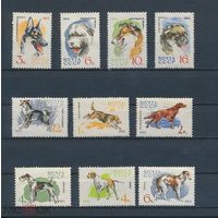 СССР. 1965. Фауна. Служебные и охотничьи собаки
