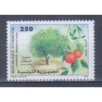 [905] Тунис 1999. Флора.Фрукты.Плоды.Апельсины. MNH