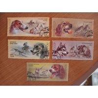 1988 СССР фауна собаки полная серия MNH** (2-2)