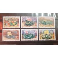 Румыния. 1997 год. Флора. Кактусы (1555)